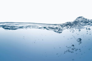 Jav Agencies Port Elizabeth